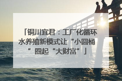 铜川宜君：工厂化循环水养殖新模式让“小圆桶”圈起“大财富”