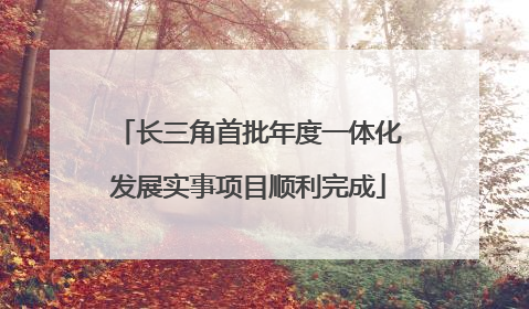 长三角首批年度一体化发展实事项目顺利完成