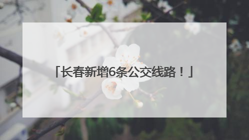 长春新增6条公交线路！