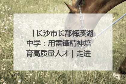 长沙市长郡梅溪湖中学：用雷锋精神培育高质量人才｜走进新时代“雷锋传人 长沙榜样”