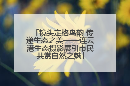 镜头定格鸟韵 传递生态之美——连云港生态摄影展引市民共赏自然之魅