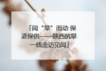 闻“旱”而动 保灌保供——陕西抗旱一线走访见闻