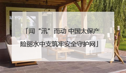 闻“汛”而动 中国太保产险丽水中支筑牢安全守护网