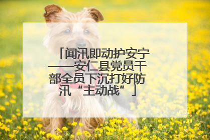 闻汛即动护安宁——安仁县党员干部全员下沉打好防汛“主动战”