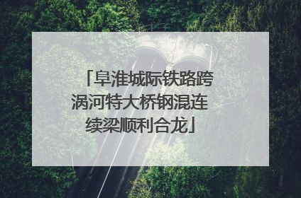 阜淮城际铁路跨涡河特大桥钢混连续梁顺利合龙