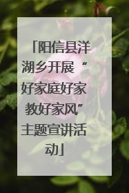 阳信县洋湖乡开展“好家庭好家教好家风”主题宣讲活动