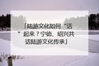 陆游文化如何“活 ”起来？宁德、绍兴共话陆游文化传承