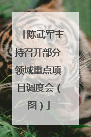 陈武军主持召开部分领域重点项目调度会（图）