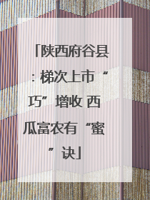 陕西府谷县：梯次上市“巧”增收 西瓜富农有“蜜”诀