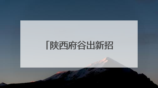 陕西府谷出新招 206名“快递小哥”成为基层治理“合伙人”