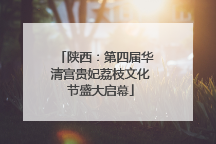 陕西：第四届华清宫贵妃荔枝文化节盛大启幕