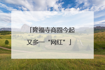 隆福寺商圈今起又多一“网红”