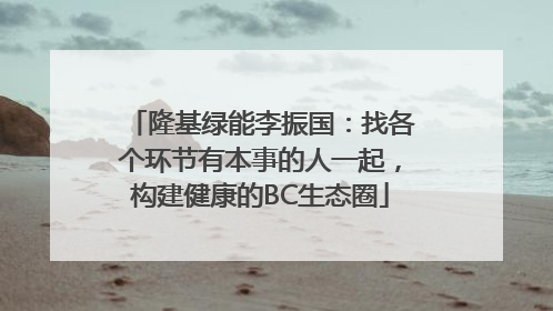 隆基绿能李振国：找各个环节有本事的人一起，构建健康的BC生态圈