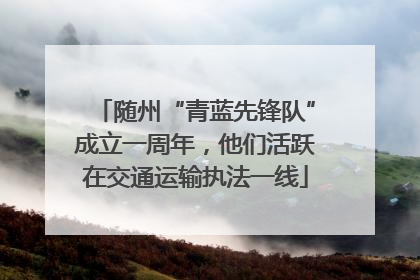 随州“青蓝先锋队”成立一周年，他们活跃在交通运输执法一线