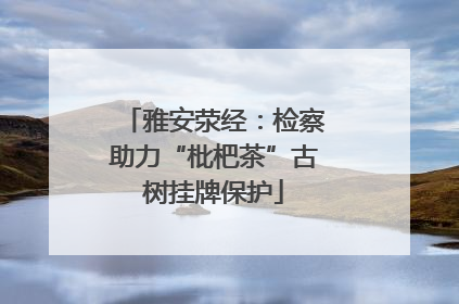 雅安荥经：检察助力“枇杷茶”古树挂牌保护