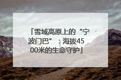 雪域高原上的“宁波门巴”：海拔4500米的生命守护