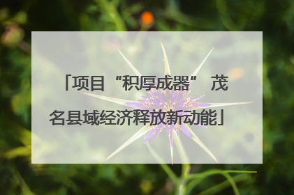 项目“积厚成器” 茂名县域经济释放新动能