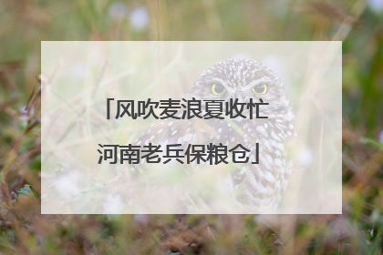风吹麦浪夏收忙 河南老兵保粮仓