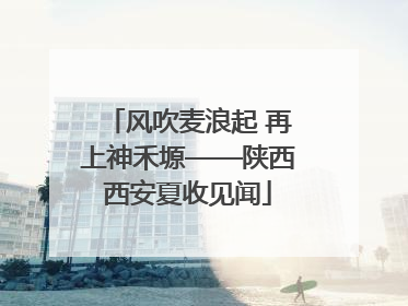 风吹麦浪起 再上神禾塬——陕西西安夏收见闻