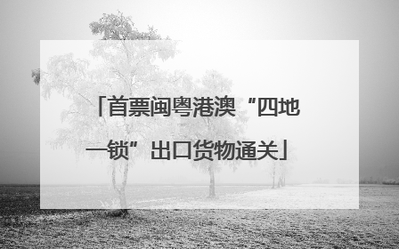 首票闽粤港澳“四地一锁”出口货物通关
