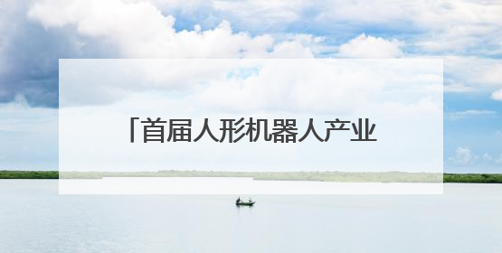 首届人形机器人产业链接会在杭州举办