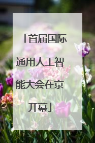 首届国际通用人工智能大会在京开幕