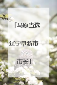 马原当选辽宁阜新市市长