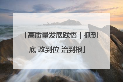 高质量发展践悟｜抓到底 改到位 治到根