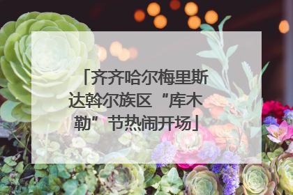 齐齐哈尔梅里斯达斡尔族区“库木勒”节热闹开场