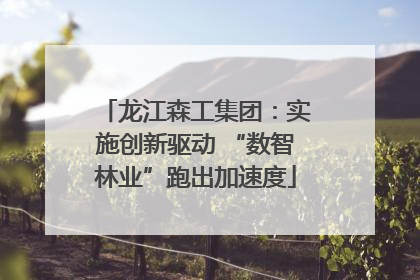 龙江森工集团：实施创新驱动 “数智林业”跑出加速度