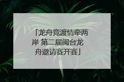 龙舟竞渡情牵两岸 第二届闽台龙舟邀请赛开赛