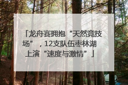 龙舟赛拥抱“天然竞技场”，12支队伍枣林湖上演“速度与激情”