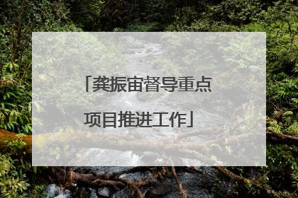 龚振宙督导重点项目推进工作