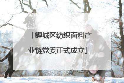 鲤城区纺织面料产业链党委正式成立