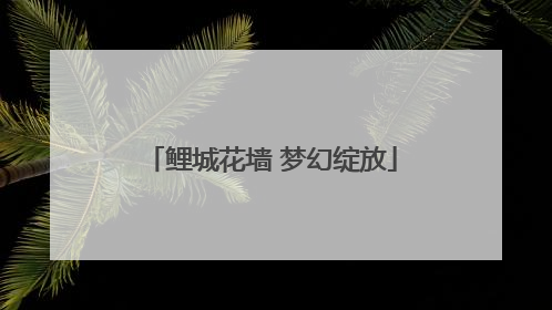 鲤城花墙 梦幻绽放