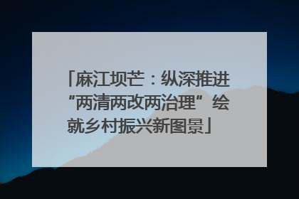麻江坝芒：纵深推进“两清两改两治理”绘就乡村振兴新图景