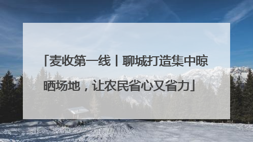 麦收第一线丨聊城打造集中晾晒场地，让农民省心又省力