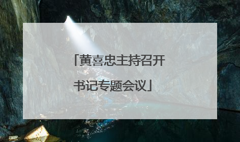 黄喜忠主持召开书记专题会议
