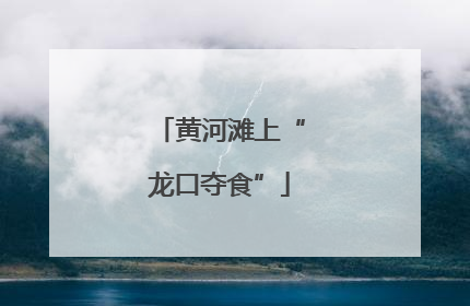 黄河滩上“龙口夺食”