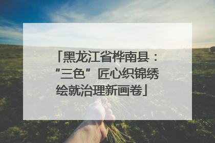 黑龙江省桦南县：“三色”匠心织锦绣 绘就治理新画卷