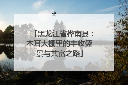黑龙江省桦南县：木耳大棚里的丰收盛景与共富之路