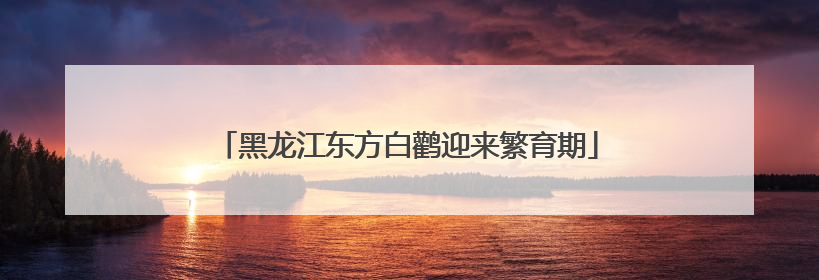 黑龙江东方白鹳迎来繁育期