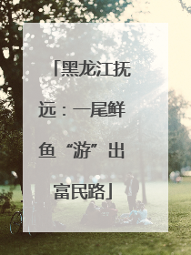 黑龙江抚远：一尾鲜鱼“游”出富民路