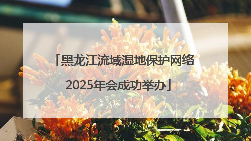 黑龙江流域湿地保护网络2025年会成功举办