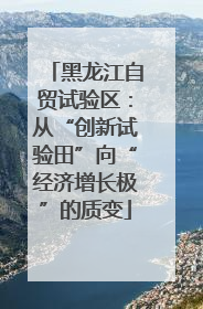 黑龙江自贸试验区：从“创新试验田”向“经济增长极”的质变