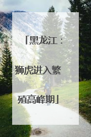 黑龙江：狮虎进入繁殖高峰期