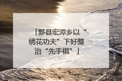 黟县宏潭乡以“绣花功夫”下好整治“先手棋”