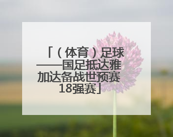 （体育）足球——国足抵达雅加达备战世预赛18强赛