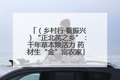（乡村行·看振兴）“正北芪之乡”：千年草本焕活力 药材生“金”富农家