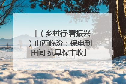 （乡村行·看振兴）山西临汾：保电到田间 抗旱保丰收